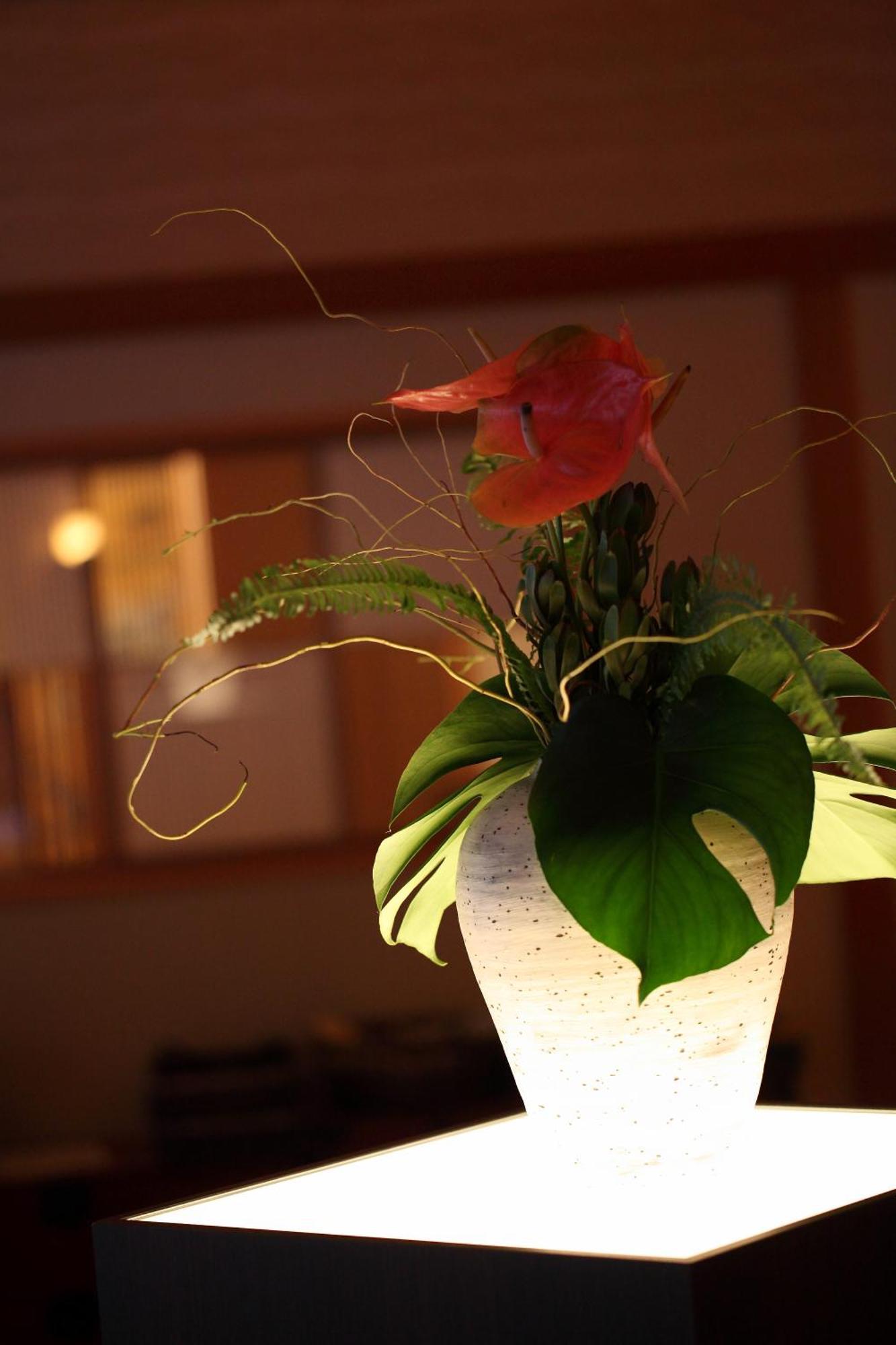 Kyo Yunohana Resort Suisen Kameoka Luaran gambar